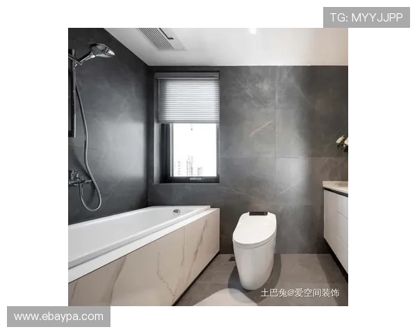 伊萨克森风格分析 伊萨克森风格分析